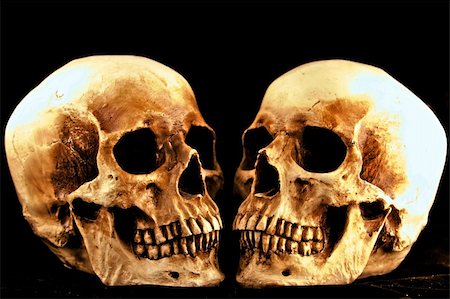 skeleton head graphic - Two skulls facing each other black background. Stock Photo - Budget Royalty-Free & Subscription, Code: 400-05245338