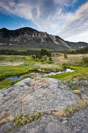 Landscape of Wyoming - Yellowstone Area. Foto de stock - Super Valor sin royalties y Suscripción, Código: 400-05245392