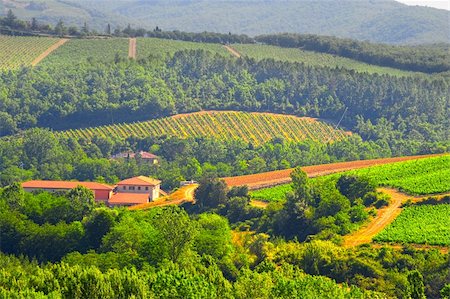 simsearch:851-02960837,k - Hills Of Toscana With Vineyard In The Chianti Region Stock Photo - Budget Royalty-Free & Subscription, Code: 400-05245790