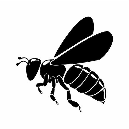black bee silhouette isolated on white background Photographie de stock - Aubaine LD & Abonnement, Code: 400-05246562