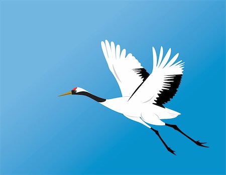 red-crowned crane - chinese red-crowned crane fly in blue sky vector Foto de stock - Royalty-Free Super Valor e Assinatura, Número: 400-05246661