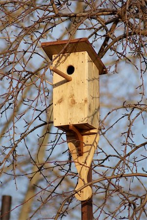 simsearch:400-06520273,k - Bird house Stock Photo - Budget Royalty-Free & Subscription, Code: 400-05246717