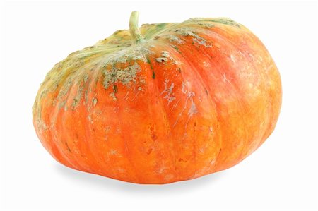 simsearch:400-04360457,k - Single fresh pumpkin isolated on white background Photographie de stock - Aubaine LD & Abonnement, Code: 400-05246827