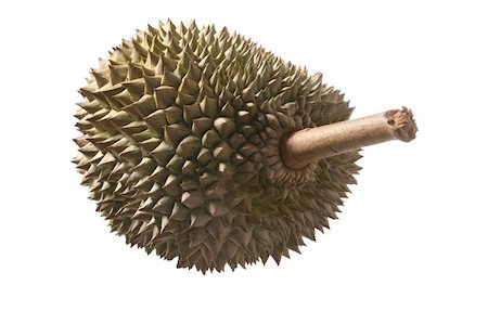 simsearch:400-09220883,k - asia  fruit  named  durian  isolated   on   white  background Stock Photo - Budget Royalty-Free & Subscription, Code: 400-05247191