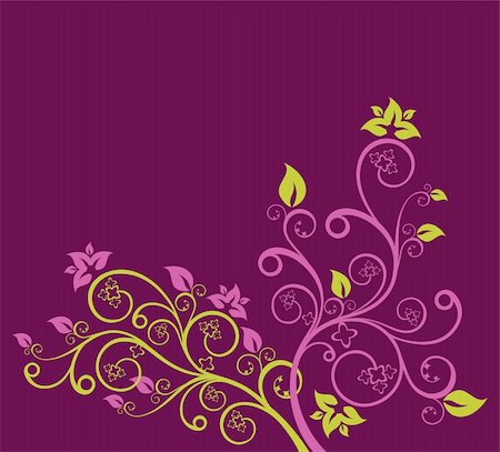 simsearch:400-05737322,k - Green and purple floral vector illustration Fotografie stock - Microstock e Abbonamento, Codice: 400-05247291