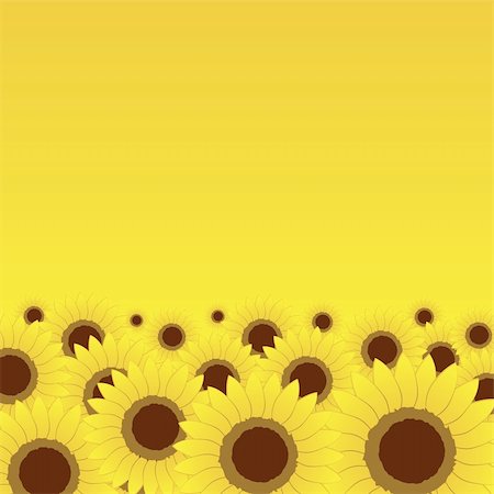 simsearch:400-05248467,k - Summer meadow, sunflowers background for your design Foto de stock - Royalty-Free Super Valor e Assinatura, Número: 400-05248466