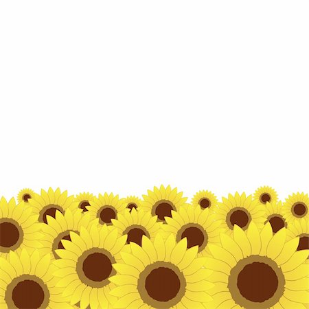 simsearch:400-05248467,k - Summer meadow, sunflowers background for your design Foto de stock - Royalty-Free Super Valor e Assinatura, Número: 400-05248467