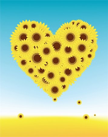 simsearch:400-05248467,k - Sunflowers heart shape for your design, summer field Foto de stock - Royalty-Free Super Valor e Assinatura, Número: 400-05248468