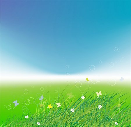 simsearch:400-05248467,k - Green field with butterflies, summer background Foto de stock - Royalty-Free Super Valor e Assinatura, Número: 400-05248469