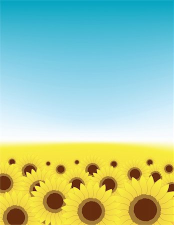 Summer meadow, sunflowers field Stock Photo - Budget Royalty-Free & Subscription, Code: 400-05248463