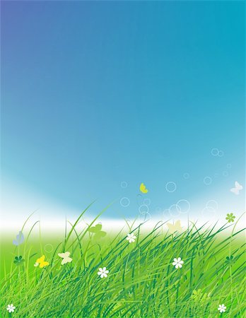 simsearch:400-05248476,k - Green field with butterflies, summer background Fotografie stock - Microstock e Abbonamento, Codice: 400-05248474