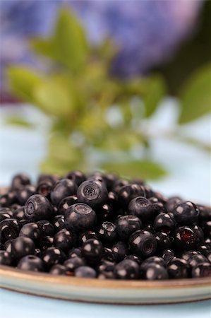 simsearch:400-04709478,k - Close-up of fresh wild blueberries on a plate. Shallow DOF Foto de stock - Super Valor sin royalties y Suscripción, Código: 400-05248554