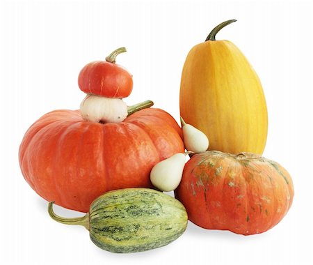 simsearch:689-03125761,k - Pumkin family isolated against the white background Photographie de stock - Aubaine LD & Abonnement, Code: 400-05249001