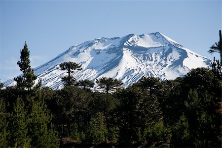 Volcan Lonquimay, Region de la Araucan?a, Chile. Stock Photo - Budget Royalty-Free & Subscription, Code: 400-05249049