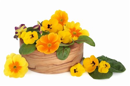 fresh edible flower violet - Viola flowers with spinach and beet leaves in an olive wood bowl and scattered, isolated over white background. Stock Photo - Budget Royalty-Free & Subscription, Code: 400-05241176