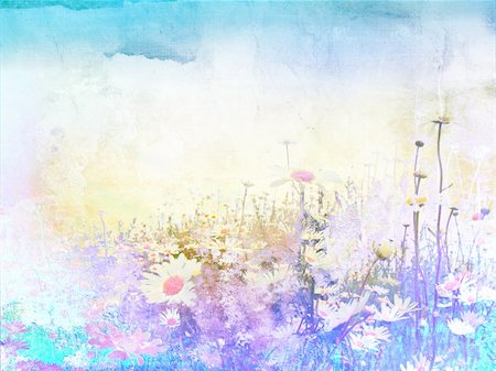 simsearch:400-06068658,k - Beautiful grunge background with meadow of daisies Stock Photo - Budget Royalty-Free & Subscription, Code: 400-05241564