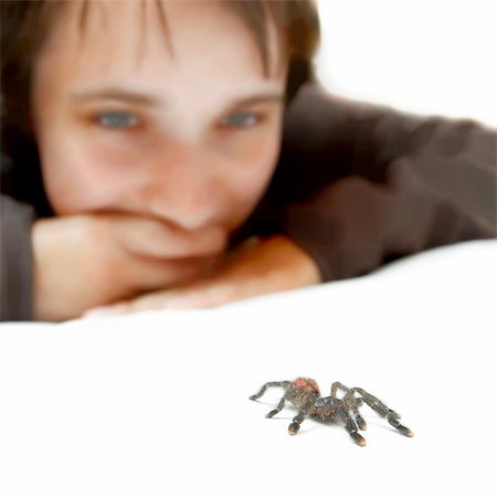 simsearch:600-00864467,k - Watching a crawling spider (avicularia metallica) Stockbilder - Microstock & Abonnement, Bildnummer: 400-05242079