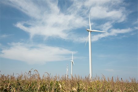 simsearch:400-04465410,k - Wind turbines over an agricultural field Stock Photo - Budget Royalty-Free & Subscription, Code: 400-05242103