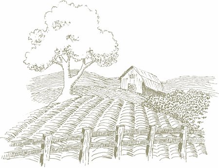 Pen and ink style illustration of a farm scene. Foto de stock - Super Valor sin royalties y Suscripción, Código: 400-05242605