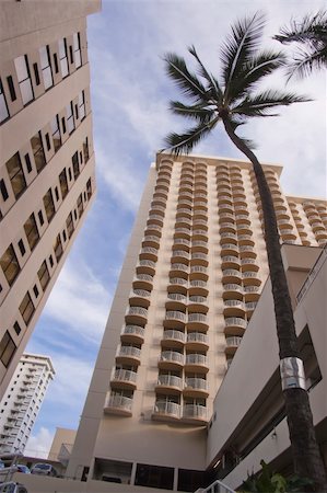 palm tree and office - High rise buildings with cloudy sky in background. Stock Photo - Budget Royalty-Free & Subscription, Code: 400-05243138