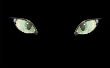 Cat eyes on the black. Eyes and background are in separate layers. Filled with solid colors only. Stock Photo - Budget Royalty-Free & Subscription, Code: 400-05243280