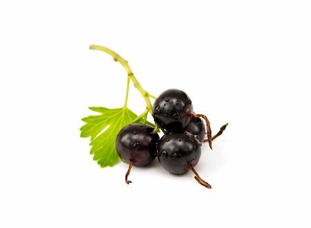 simsearch:400-05168860,k - Fresh ripe black currant with leaf on white background Photographie de stock - Aubaine LD & Abonnement, Code: 400-05243903