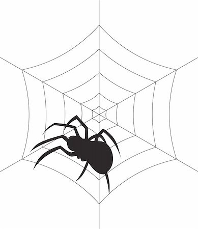 simsearch:400-09051551,k - Spider vector. To see similar, please VISIT MY PORTFOLIO Photographie de stock - Aubaine LD & Abonnement, Code: 400-05255336