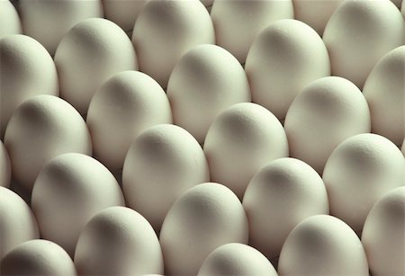 Over two dozen white chicken eggs lined up, fill the frame Stock Photo - Budget Royalty-Free & Subscription, Code: 400-05255587