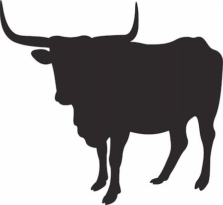 domestic buffalo - Bull vector. To see similar, please VISIT MY PORTFOLIO Stock Photo - Budget Royalty-Free & Subscription, Code: 400-05255696