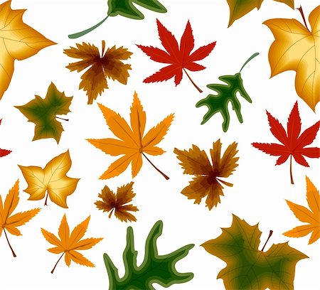 simsearch:400-06179170,k - Autumnal concept seamless background with leaf. Vector illustration Stock Photo - Budget Royalty-Free & Subscription, Code: 400-05255772