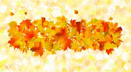 simsearch:400-06179170,k - Autumn background. EPS 8 vector file included Stock Photo - Budget Royalty-Free & Subscription, Code: 400-05256093