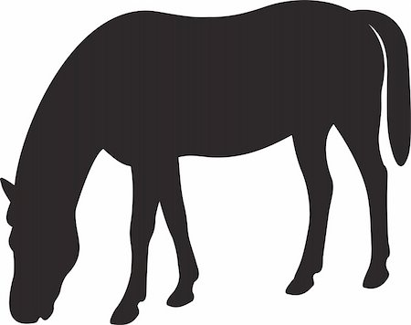 Horse vector. To see similar, please VISIT MY PORTFOLIO Photographie de stock - Aubaine LD & Abonnement, Code: 400-05256252