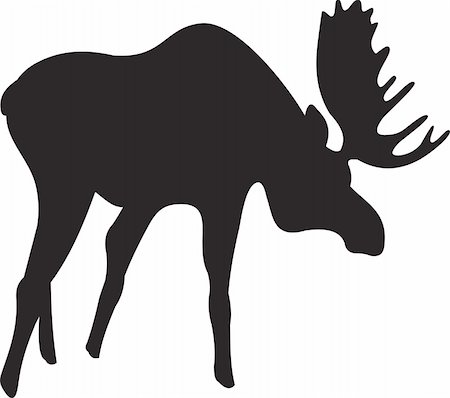 elks sweden - Elk vector. To see similar, please VISIT MY PORTFOLIO Stock Photo - Budget Royalty-Free & Subscription, Code: 400-05256306