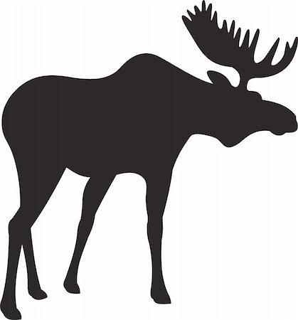 elks sweden - Elk vector. To see similar, please VISIT MY PORTFOLIO Stock Photo - Budget Royalty-Free & Subscription, Code: 400-05256308