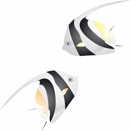 fish clip art to color - Illustration of a long finned bannerfish isolated on white background Stock Photo - Budget Royalty-Free & Subscription, Code: 400-05256360