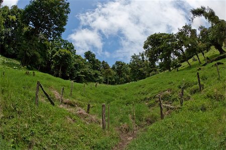 simsearch:400-07245923,k - Fisheye shot of field and sky in Costa Rica Stock Photo - Budget Royalty-Free & Subscription, Code: 400-05257177