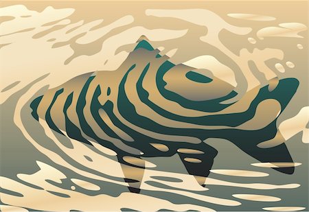 fishpond - Vector background design of a fish in a pool of ripples Stock Photo - Budget Royalty-Free & Subscription, Code: 400-05257195
