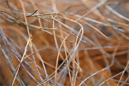 simsearch:400-06176986,k - Rusty metal wire in a mess - dump Fotografie stock - Microstock e Abbonamento, Codice: 400-05257389