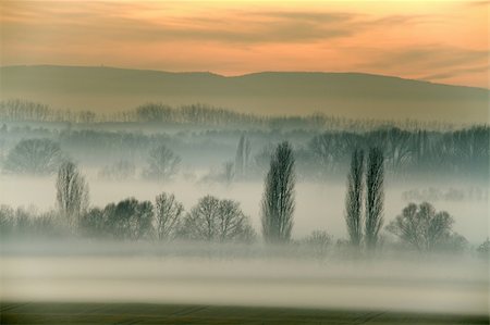 spooky field - Countryside landscape in fog in winter Photographie de stock - Aubaine LD & Abonnement, Code: 400-05259274
