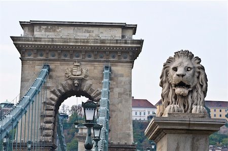 view of the famous chain bridge in Budapest Stock Photo - Budget Royalty-Free & Subscription, Code: 400-05251448