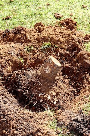 simsearch:400-08334430,k - feelled tree roots removed soil sand on garden nature consevation metaphor Fotografie stock - Microstock e Abbonamento, Codice: 400-05251519