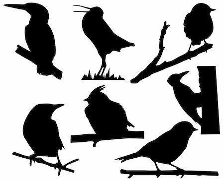 simsearch:400-07210457,k - vector silhouette of the small birds on branch tree Foto de stock - Royalty-Free Super Valor e Assinatura, Número: 400-05253667