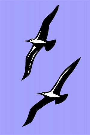 petrel - silhouettes of the sea birds on background blue sky Stock Photo - Budget Royalty-Free & Subscription, Code: 400-05253676