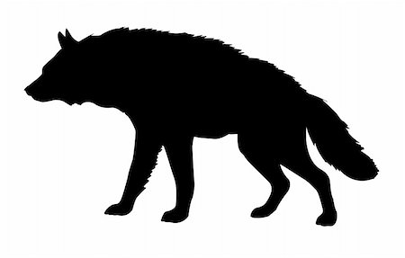 silhouette hyena isolated on white background Stock Photo - Budget Royalty-Free & Subscription, Code: 400-05253691