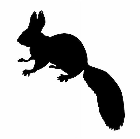 simsearch:400-04543131,k - silhouette of the squirrel on white background Stock Photo - Budget Royalty-Free & Subscription, Code: 400-05253729