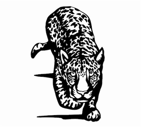 Black and white a jaguar. Vector illustration Stock Photo - Budget Royalty-Free & Subscription, Code: 400-05253816