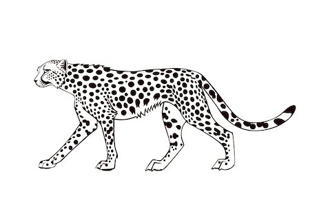 simsearch:400-06794734,k - Black and white a cheetah. Vector illustration Stock Photo - Budget Royalty-Free & Subscription, Code: 400-05253832