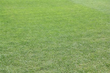 stockshoot (artist) - The grass of Camp Nou, Barcelona, Spain Foto de stock - Super Valor sin royalties y Suscripción, Código: 400-05253940