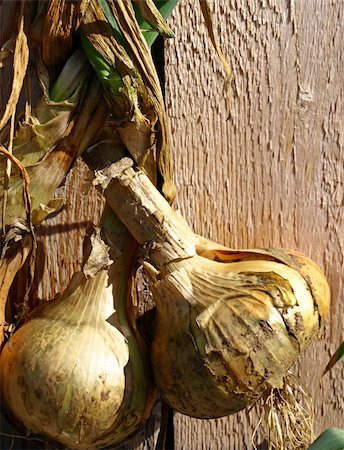 simsearch:652-03635670,k - Bunch of onions drying in the sun Photographie de stock - Aubaine LD & Abonnement, Code: 400-05265025