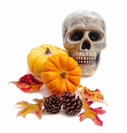 Halloween still life of miniature pumpkins, autumn leaves, pine cones, and skull on white background Photographie de stock - Aubaine LD & Abonnement, Code: 400-05265314